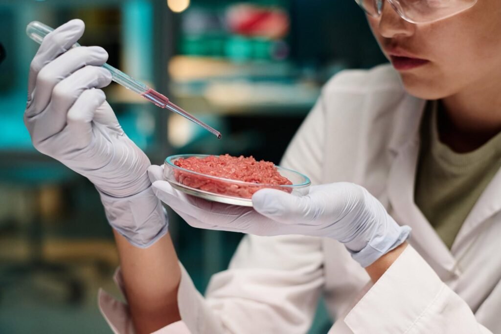 What is Lab-Grown Meat?