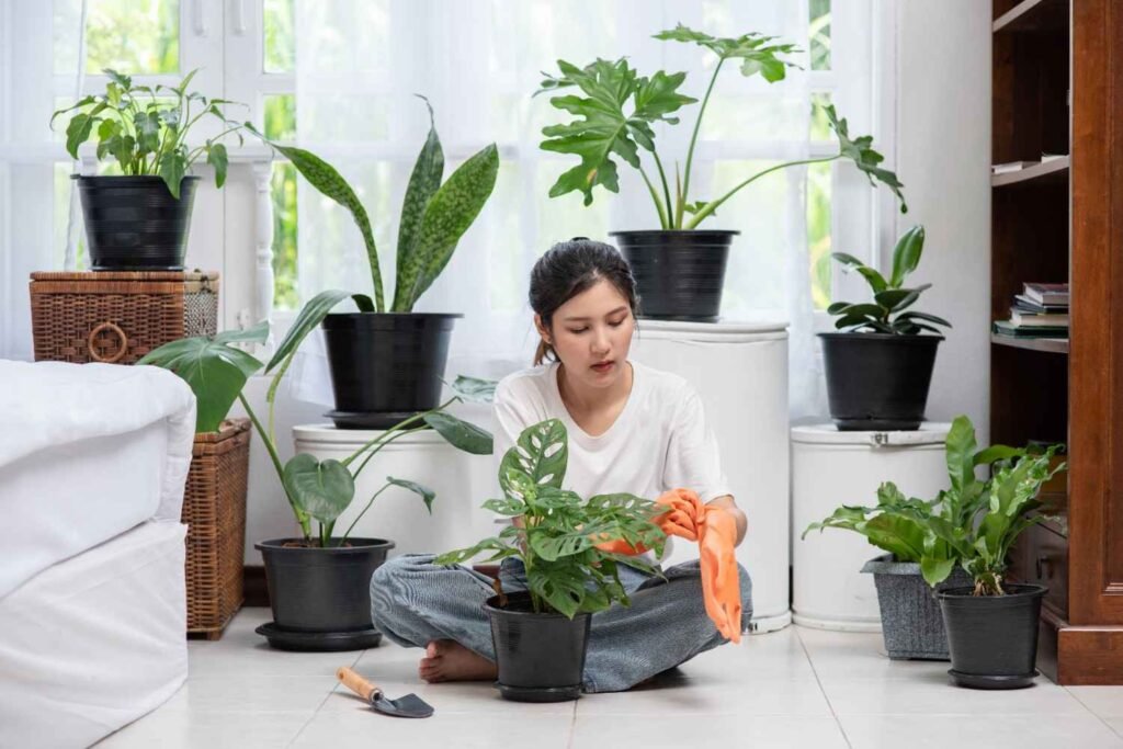Why Grow Vegetables Indoors?